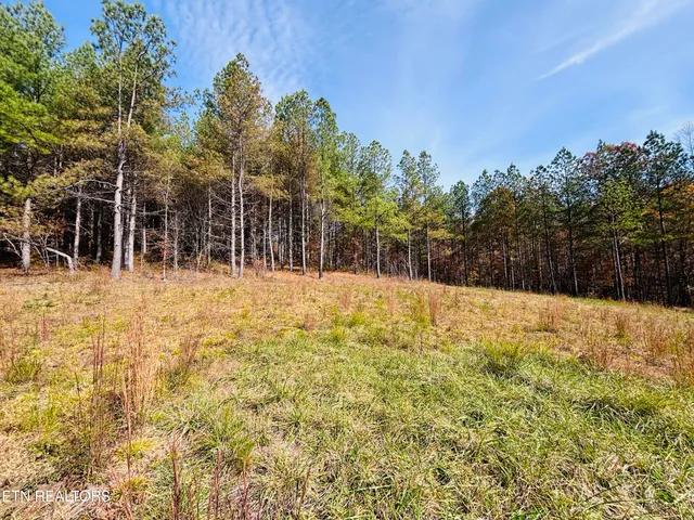 $145,000 | Stonecipher Court, Sunbright, TN 37872