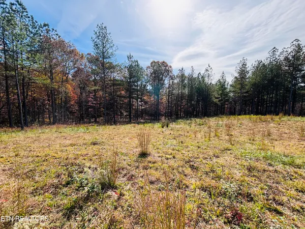 $145,000 | Stonecipher Court, Sunbright, TN 37872