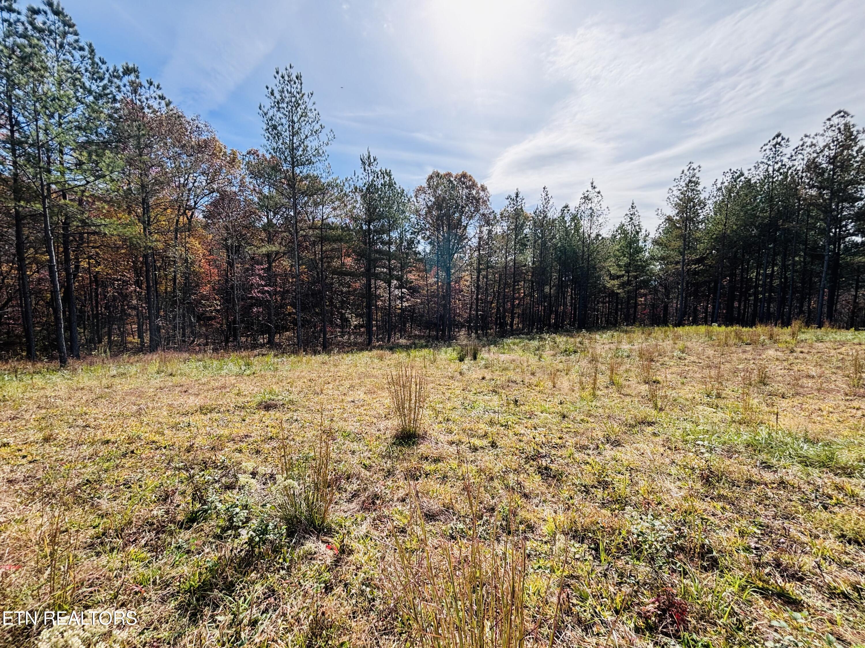 Stonecipher Court Sunbright, TN 37872 - Photo 28 of 38 IMG_2381