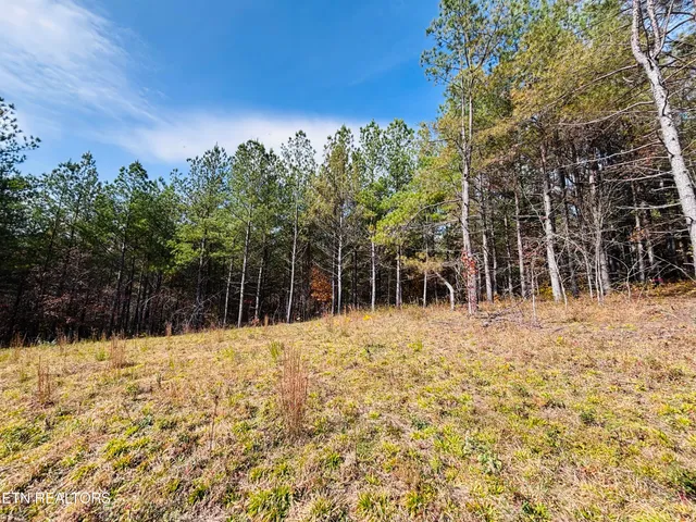 $145,000 | Stonecipher Court, Sunbright, TN 37872