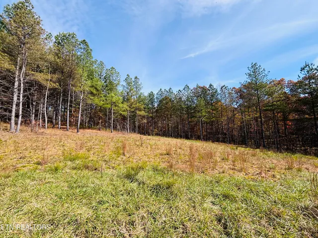 $145,000 | Stonecipher Court, Sunbright, TN 37872