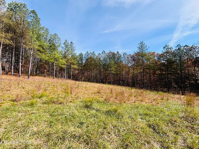 $145,000 | Stonecipher Court, Sunbright, TN 37872