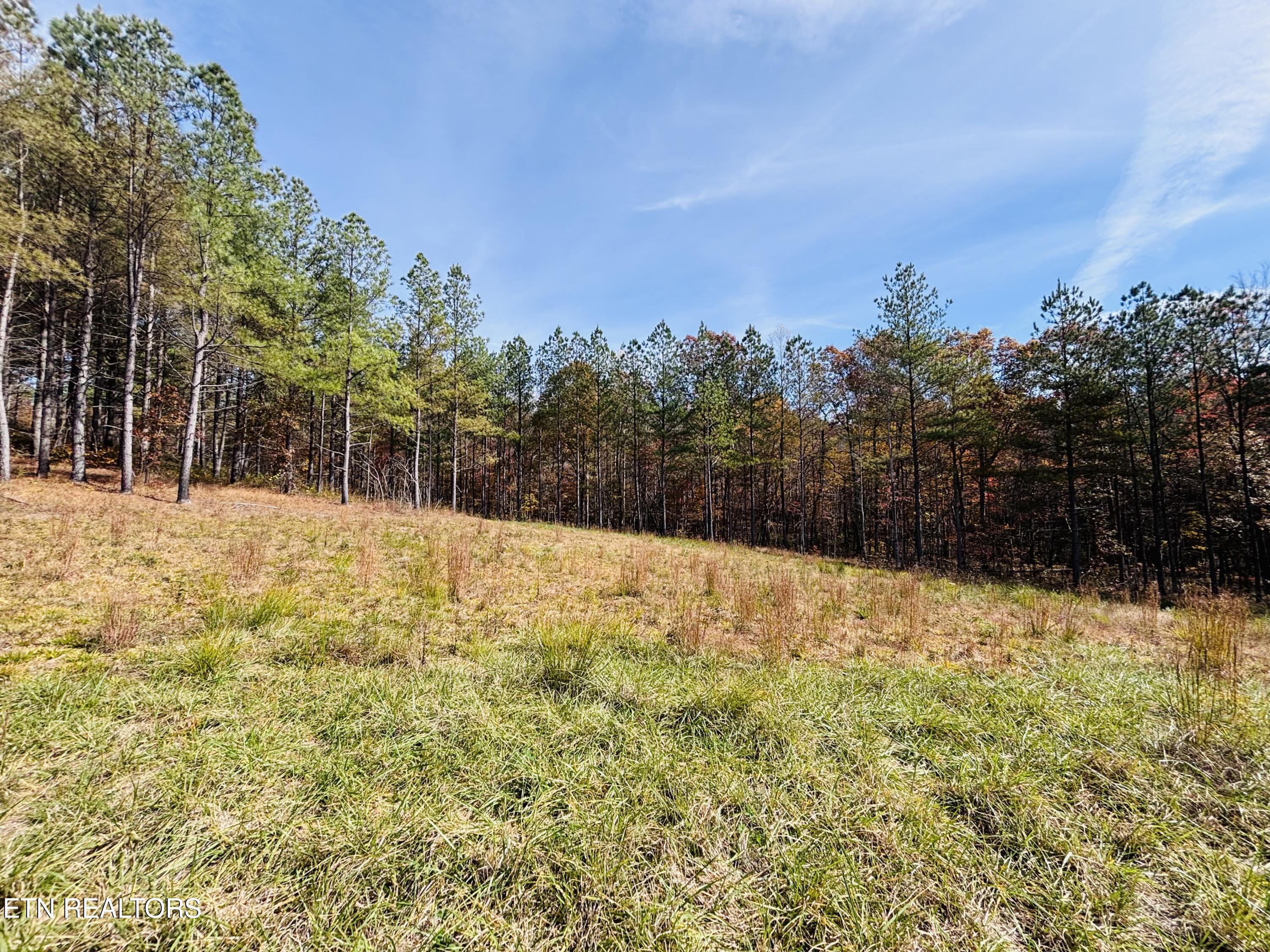 Stonecipher Court Sunbright, TN 37872 - Photo 32 of 38 IMG_2383