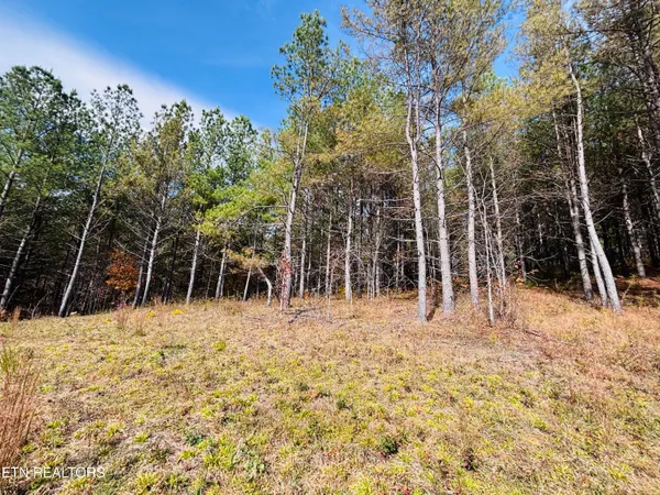 $145,000 | Stonecipher Court, Sunbright, TN 37872