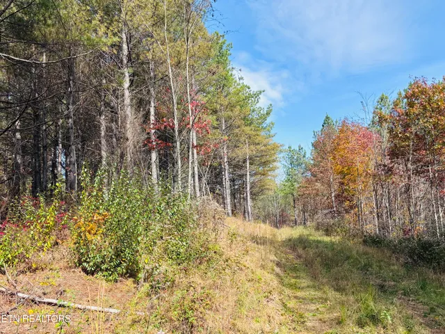 $145,000 | Stonecipher Court, Sunbright, TN 37872