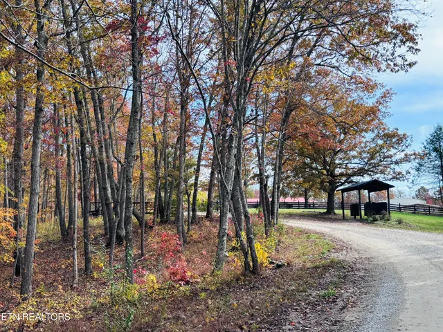 $145,000 | Stonecipher Court, Sunbright, TN 37872