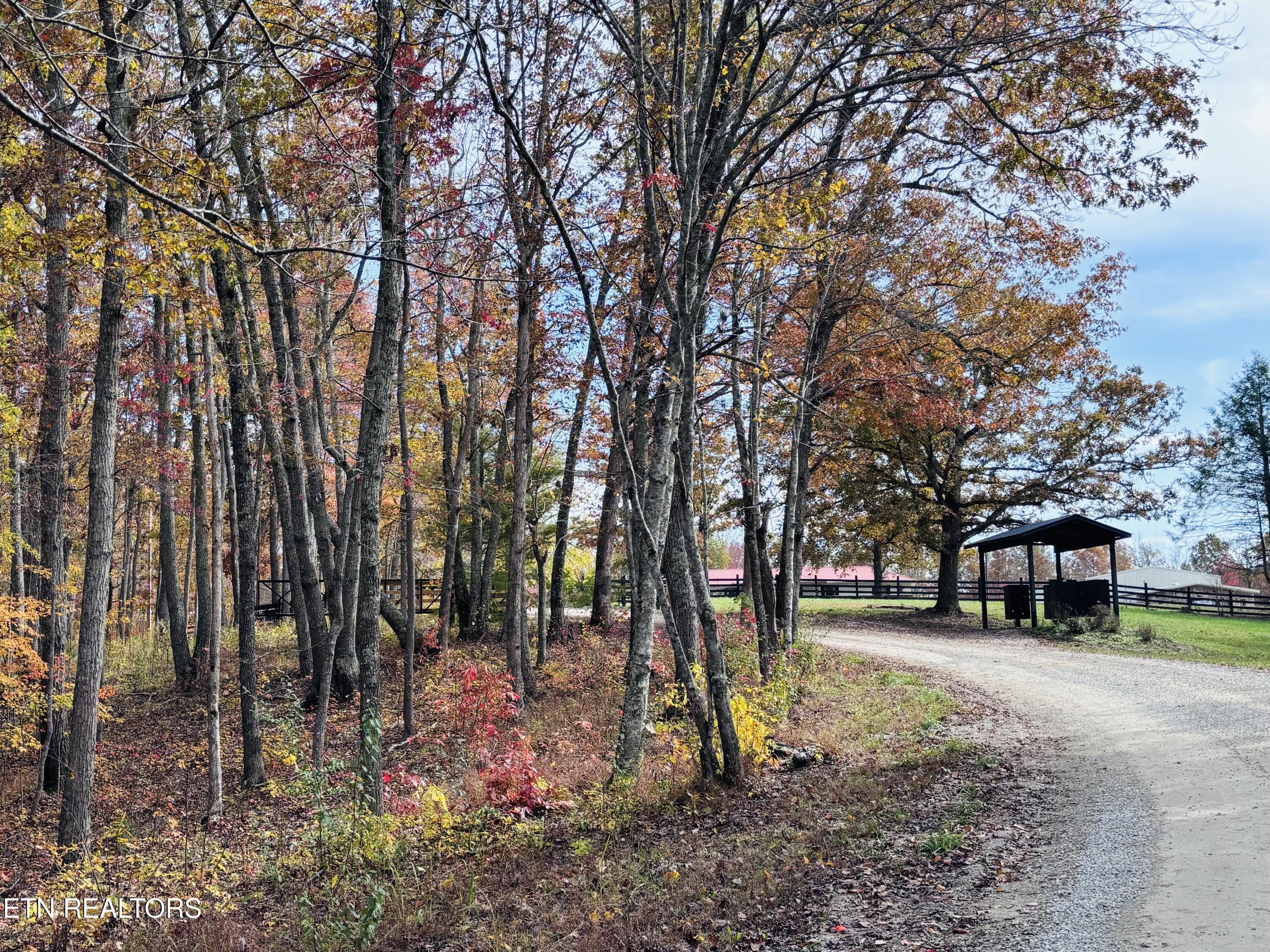 Stonecipher Court Sunbright, TN 37872 - Photo 35 of 38 IMG_2394