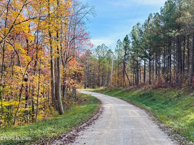 $145,000 | Stonecipher Court, Sunbright, TN 37872