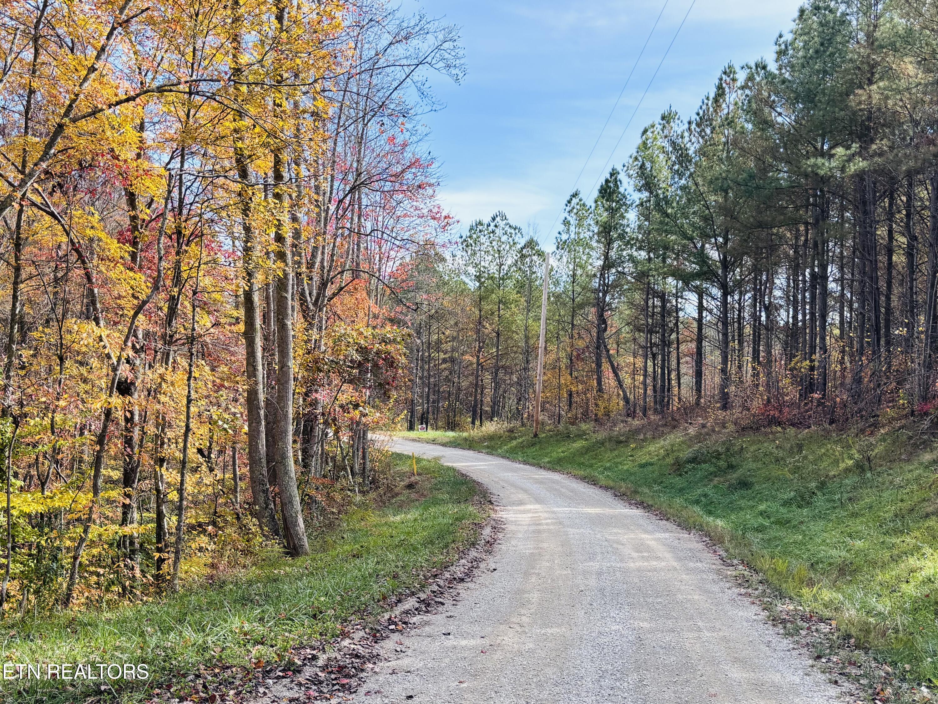 Stonecipher Court Sunbright, TN 37872 - Photo 4 of 38 IMG_2392