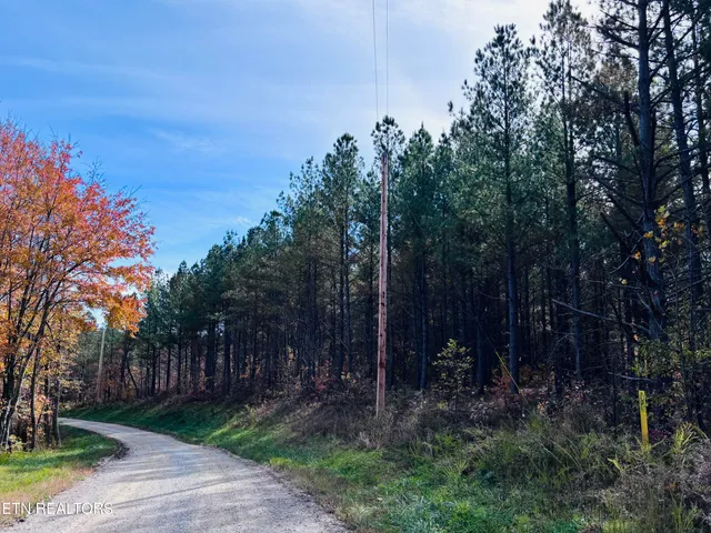 $145,000 | Stonecipher Court, Sunbright, TN 37872