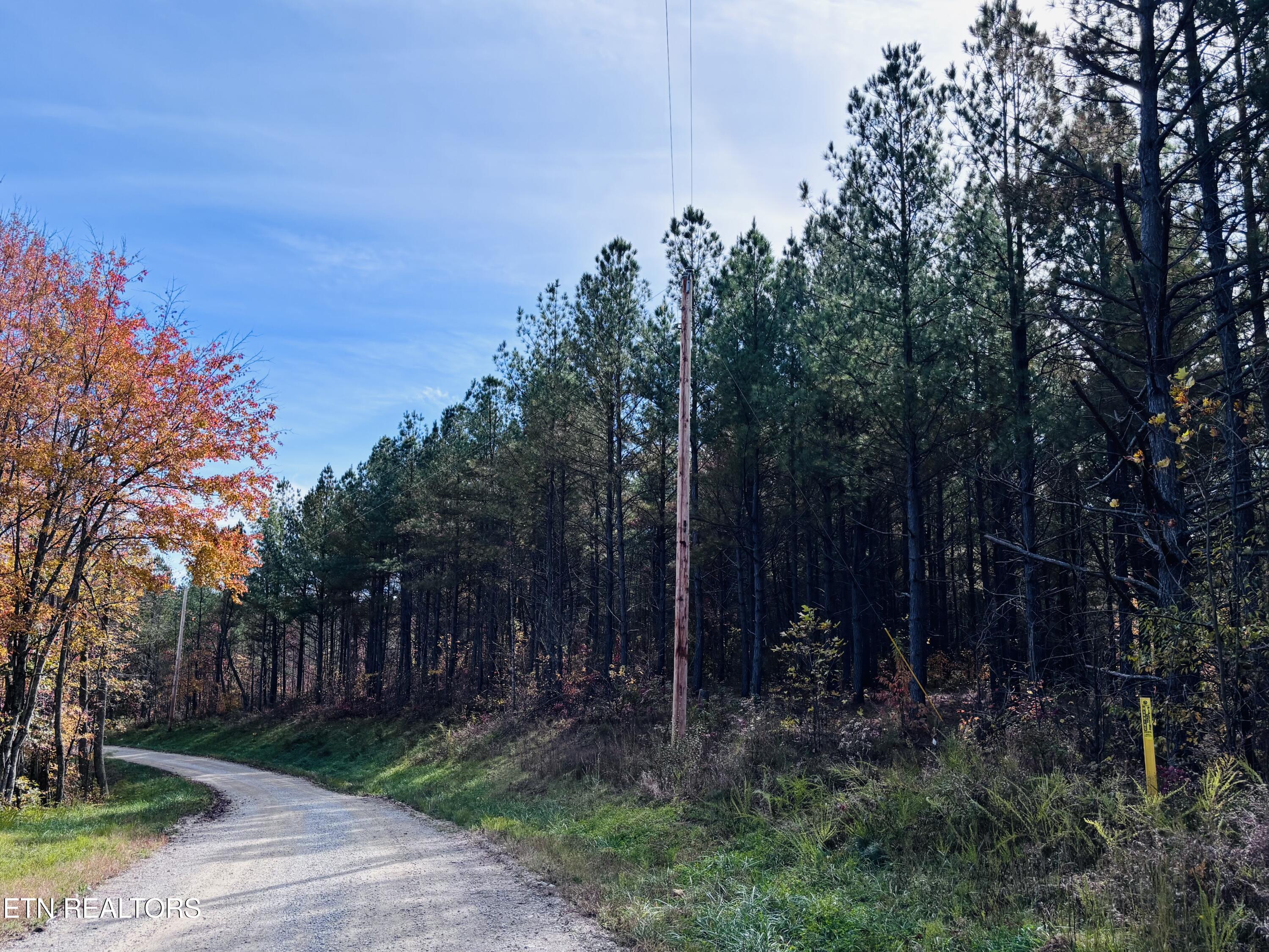 Stonecipher Court Sunbright, TN 37872 - Photo 5 of 38 IMG_2391