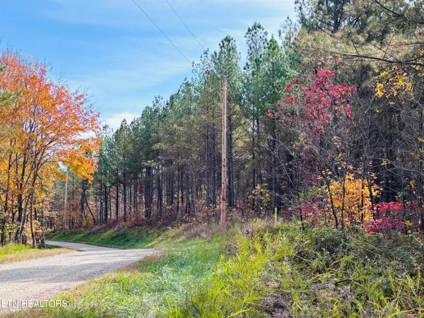 $145,000 | Stonecipher Court, Sunbright, TN 37872