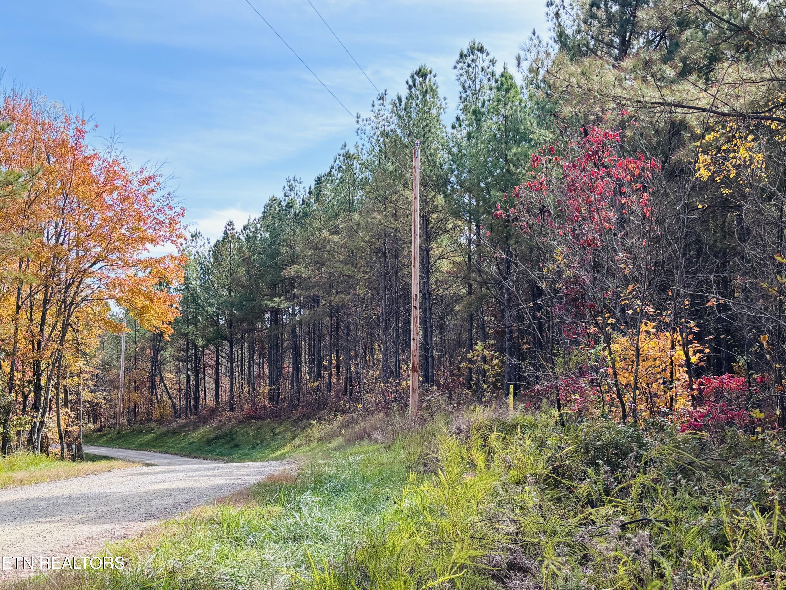 Stonecipher Court Sunbright, TN 37872 - Photo 6 of 38 IMG_2390