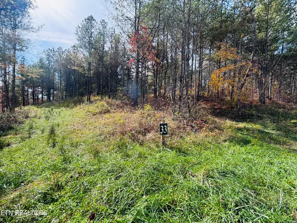 $145,000 | Stonecipher Court, Sunbright, TN 37872