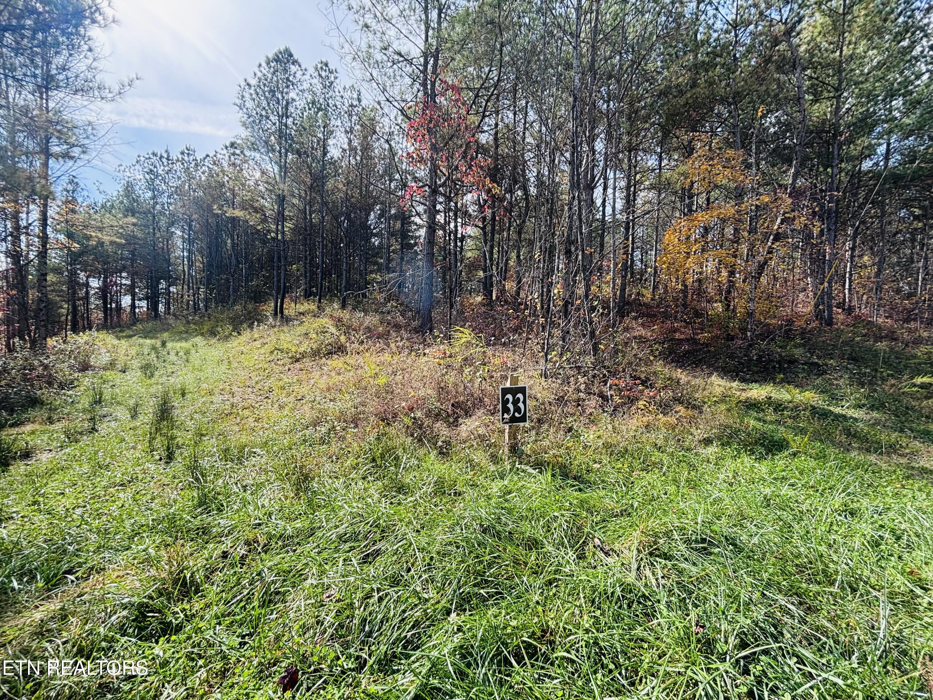 Stonecipher Court Sunbright, TN 37872 - Photo 7 of 38 IMG_2373