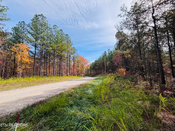 $145,000 | Stonecipher Court, Sunbright, TN 37872