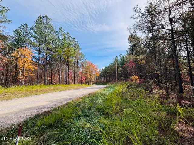 $145,000 | Stonecipher Court, Sunbright, TN 37872