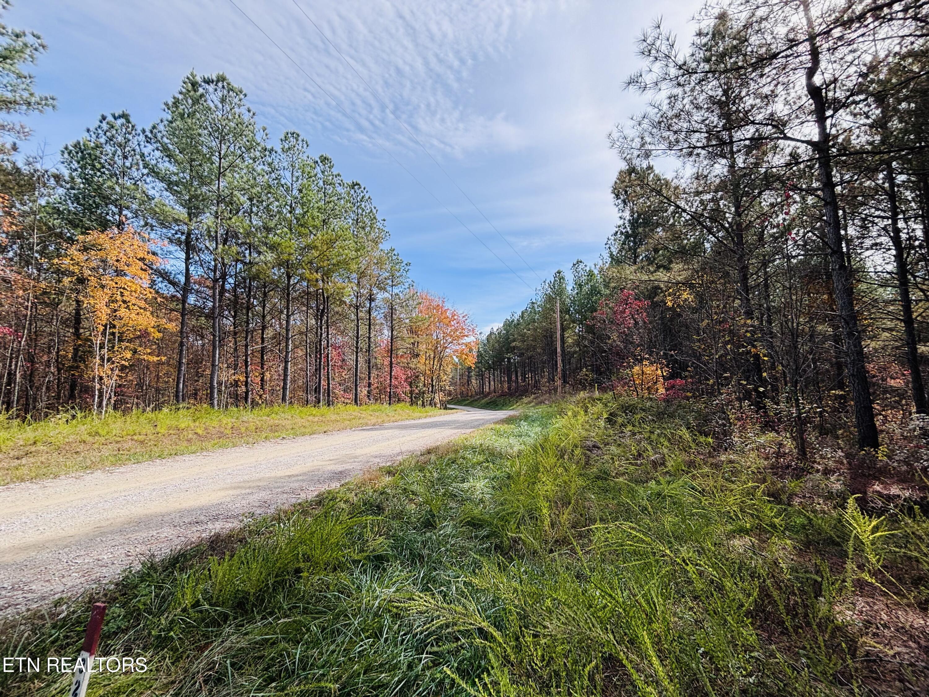 Stonecipher Court Sunbright, TN 37872 - Photo 8 of 38 IMG_2388