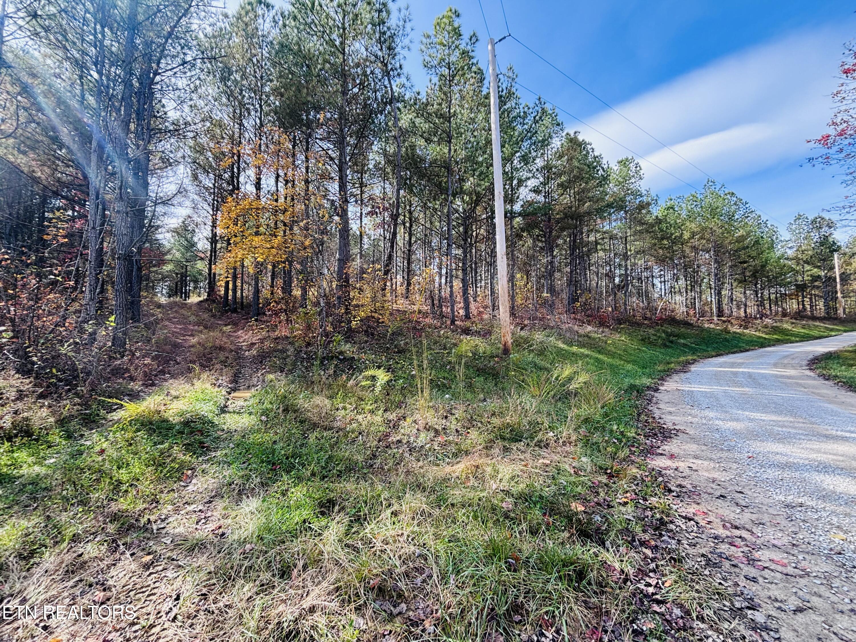 Stonecipher Court Sunbright, TN 37872 - Photo 9 of 38 IMG_2374
