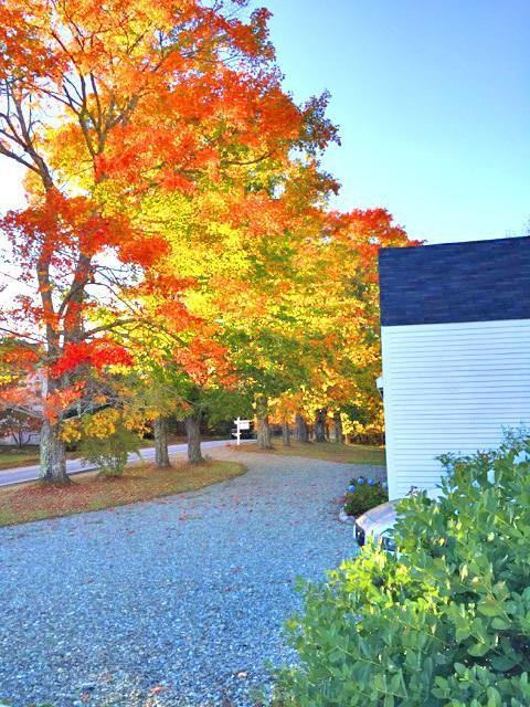 107 Reach Road Sedgwick, ME 04676 - Photo 4 of 27 Photo