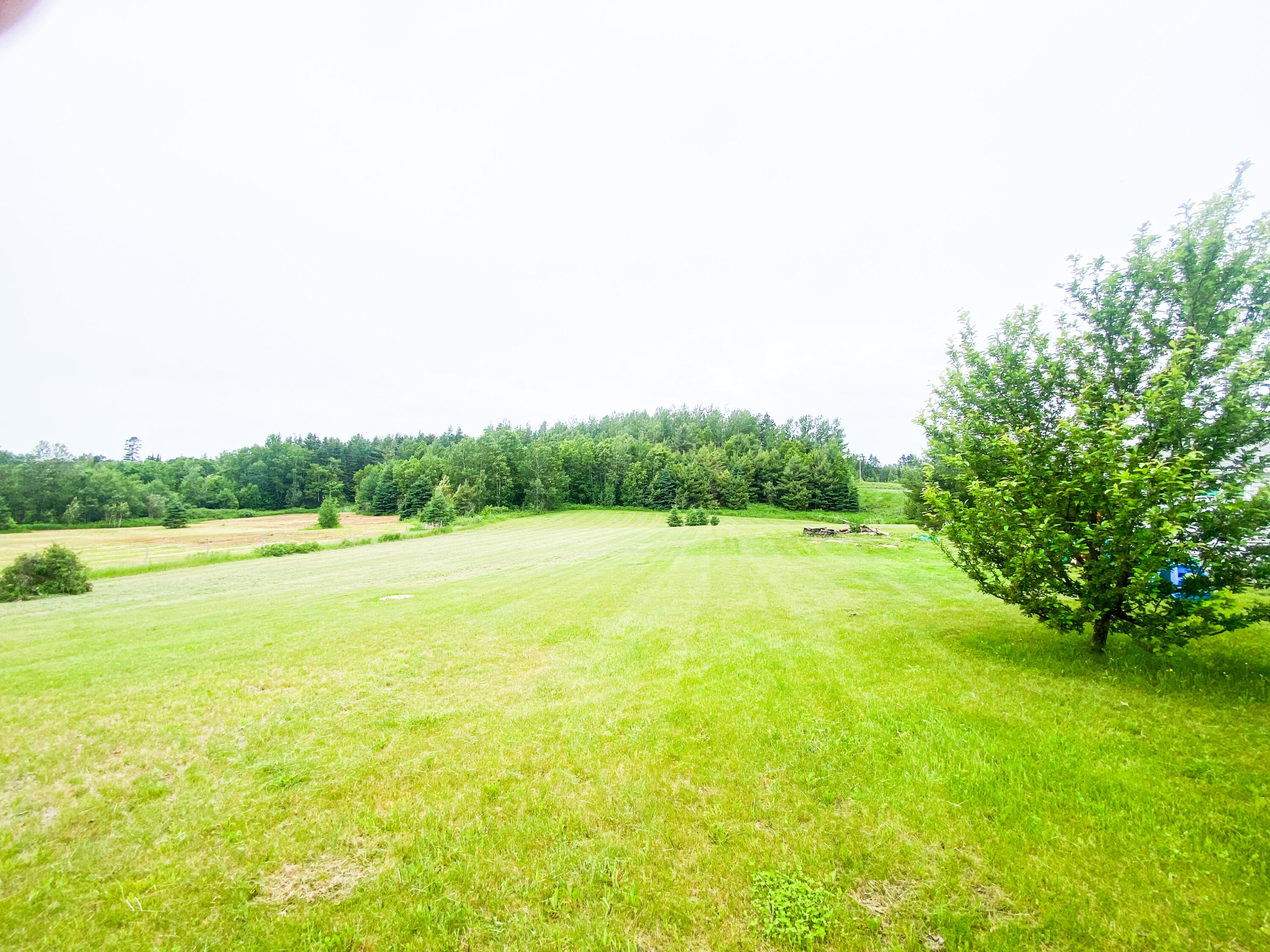 580 Fort Road Mars Hill, ME 04758 - Photo 4 of 15 IMG_4596