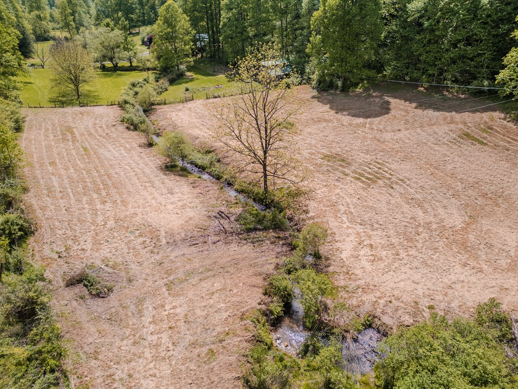 6.18 Boardtown Road Cherry Log, GA 30522 - Photo 3 of 9