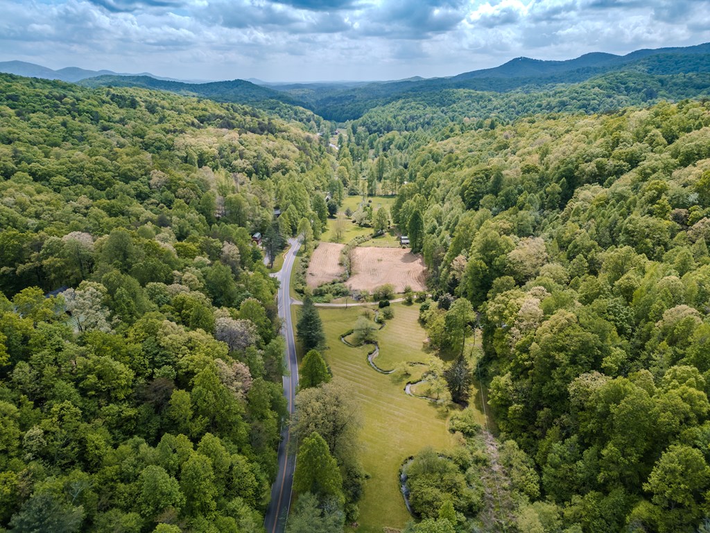 6.18 Boardtown Road Cherry Log, GA 30522 - Photo 4 of 9