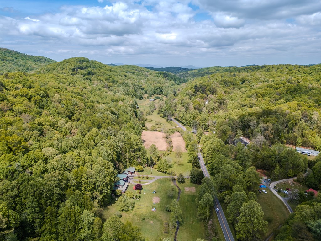 6.18 Boardtown Road Cherry Log, GA 30522 - Photo 5 of 9