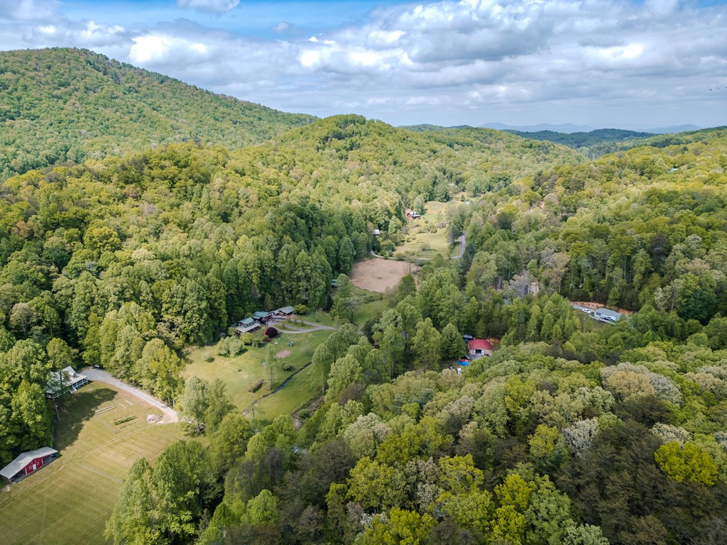 6.18 Boardtown Road Cherry Log, GA 30522 - Photo 6 of 9