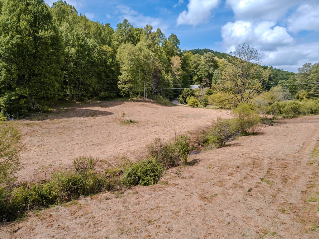 6.18 Boardtown Road Cherry Log, GA 30522 - Photo 7 of 9