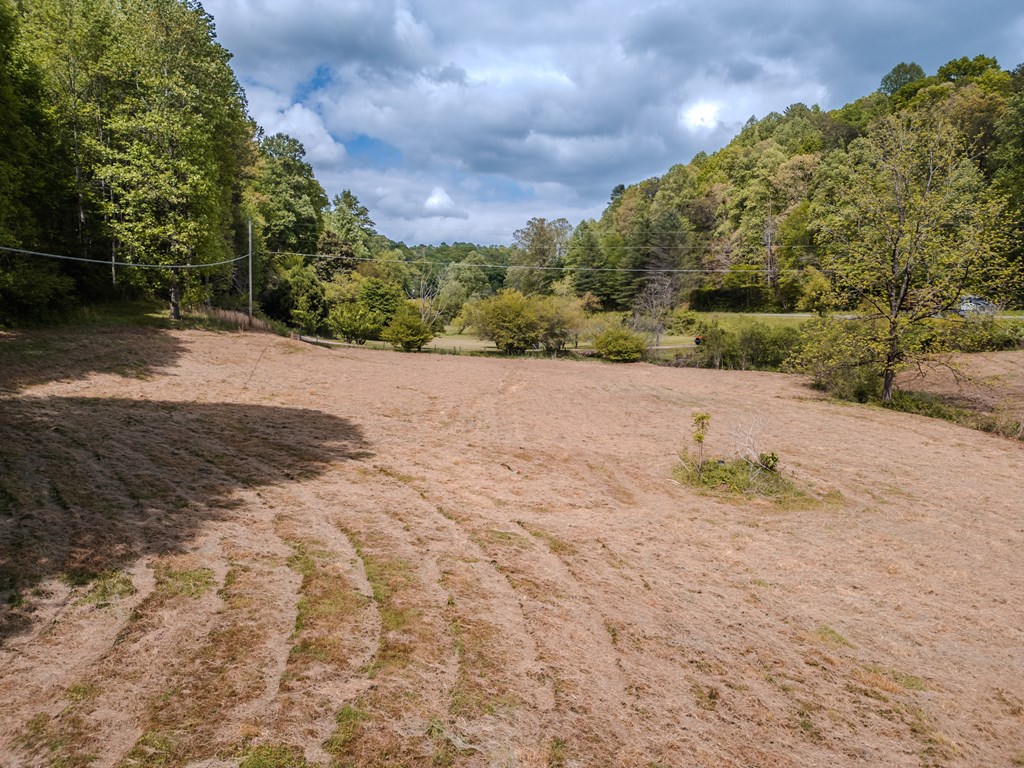 6.18 Boardtown Road Cherry Log, GA 30522 - Photo 8 of 9