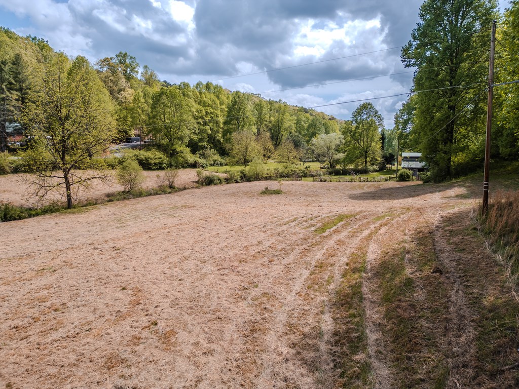 6.18 Boardtown Road Cherry Log, GA 30522 - Photo 9 of 9