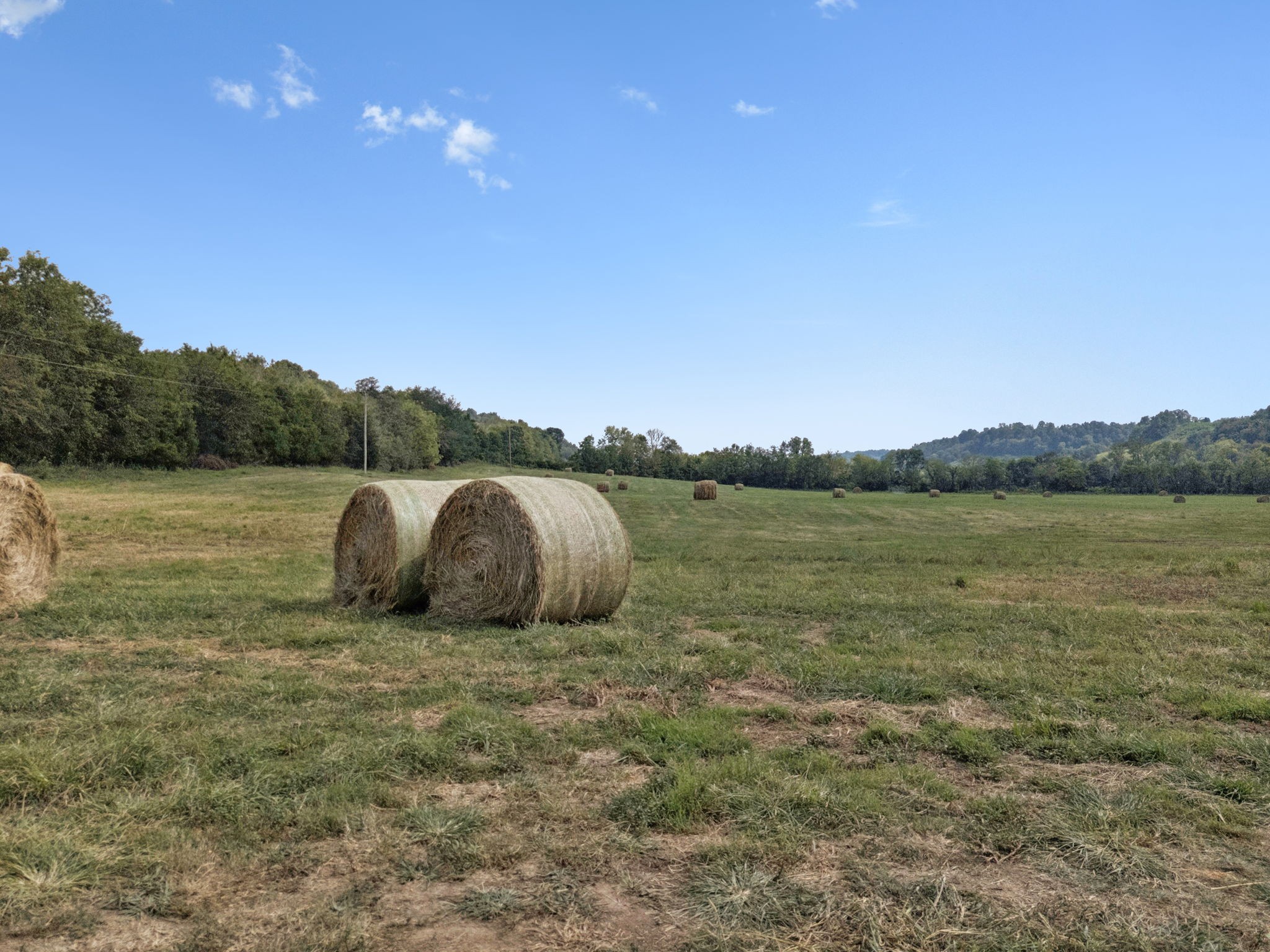 0 Shoal Creek Road Prospect, TN 38477 - Photo 12 of 15 a view of a lake with houses in the background