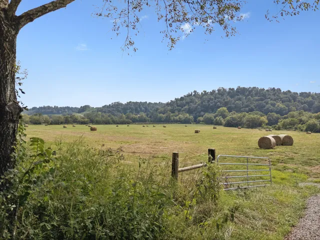 a view of a dirt pathway both side of yard