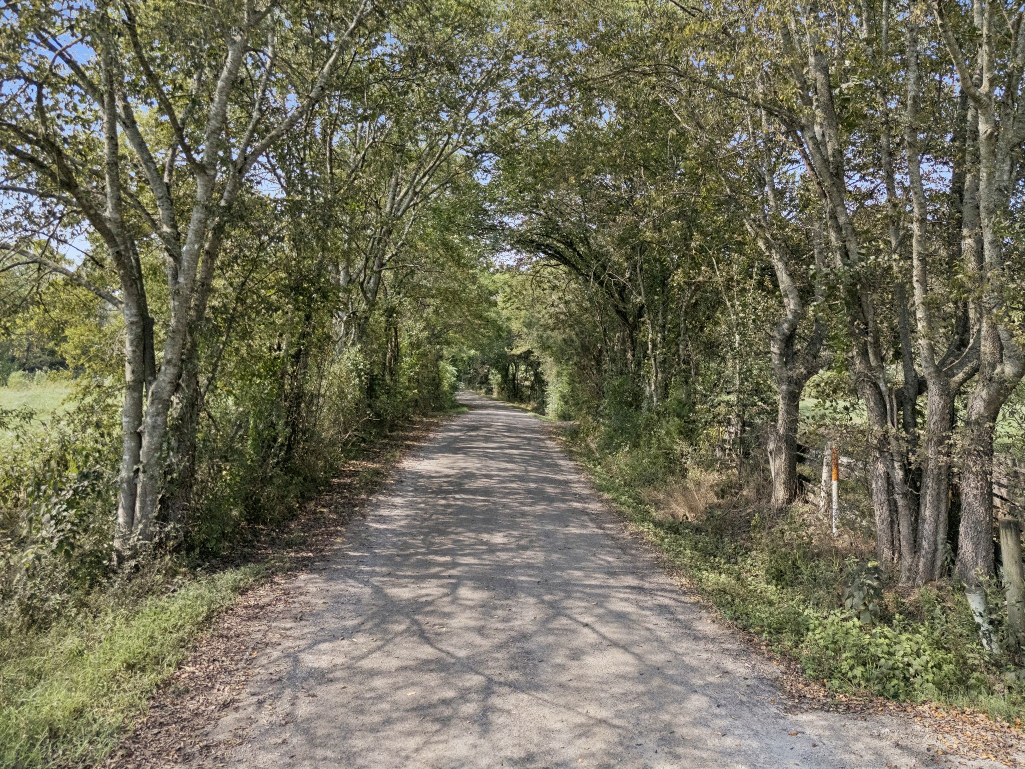 0 Shoal Creek Road Prospect, TN 38477 - Photo 8 of 15 a pathway of a yard