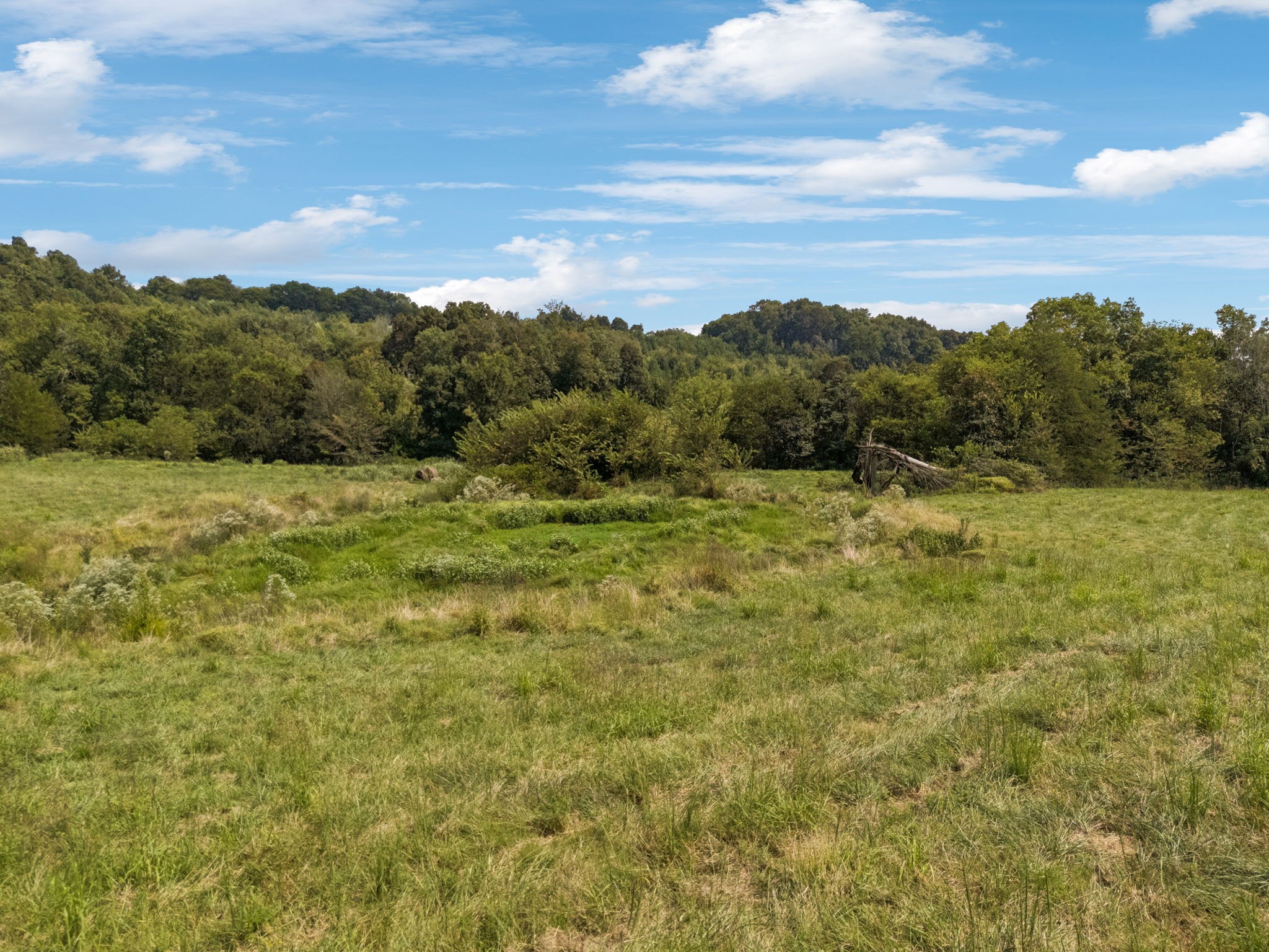 0 Shoal Creek Road Prospect, TN 38477 - Photo 9 of 15 a view of an outdoor space with mountain view
