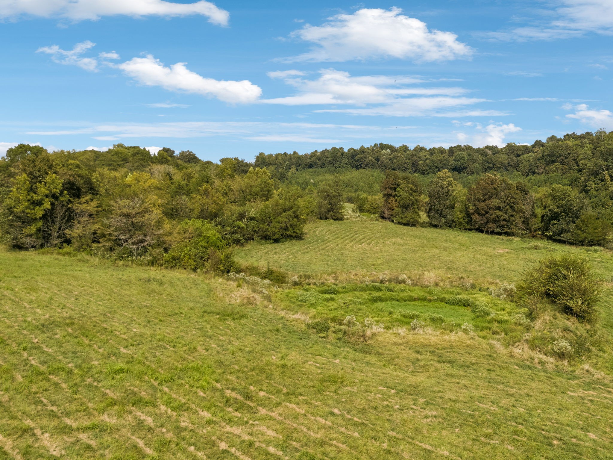 0 Shoal Creek Road Prospect, TN 38477 - Photo 10 of 15 a view of an ocean