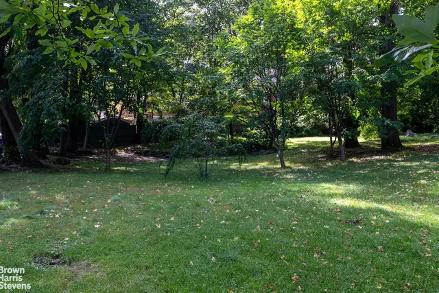 a view of a backyard with large trees