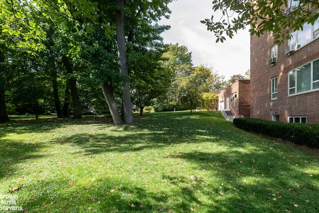 a view of a park with a tree