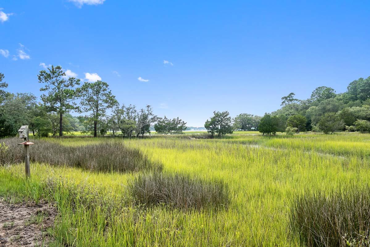 1171 Harts Bluff Road Wadmalaw Island, SC 29487 - Photo 12 of 75 DSC_7480