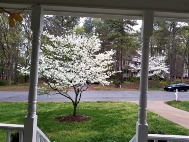 149 Abercrombie Road Wake Forest, NC 27587 - Photo 22 of 24 Standing on Porch