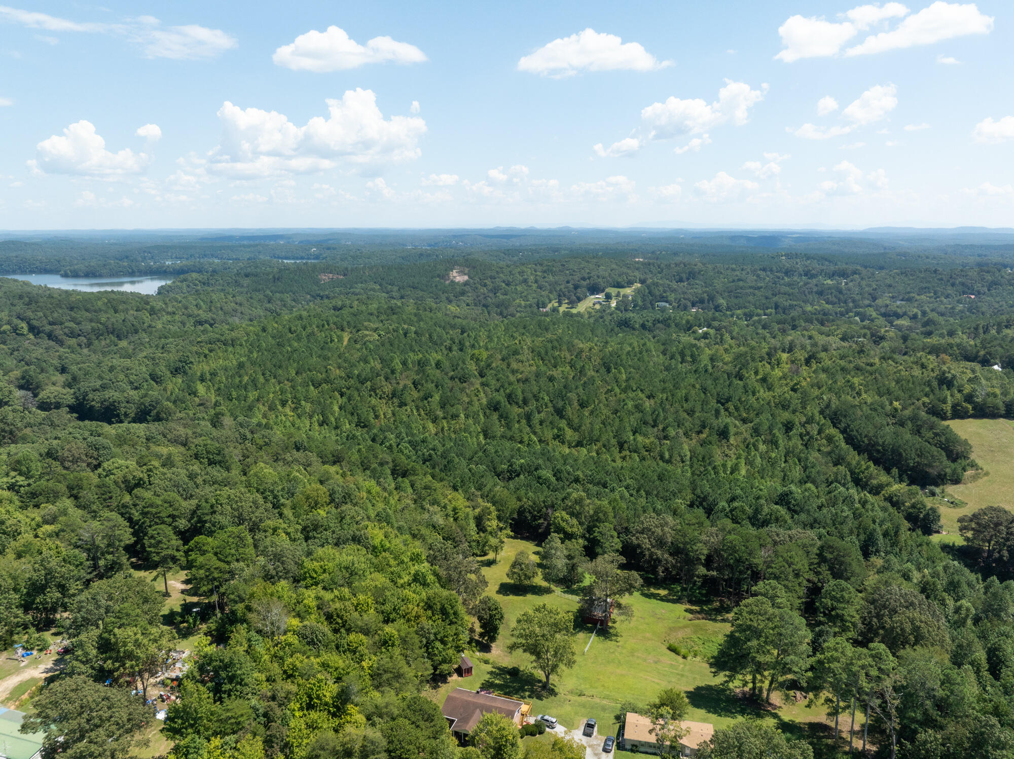 1310 Mayflower Road Sale Creek, TN 37373 - Photo 4 of 10 1310-Mayflower-Rd-Land-High-Res-Photos-4