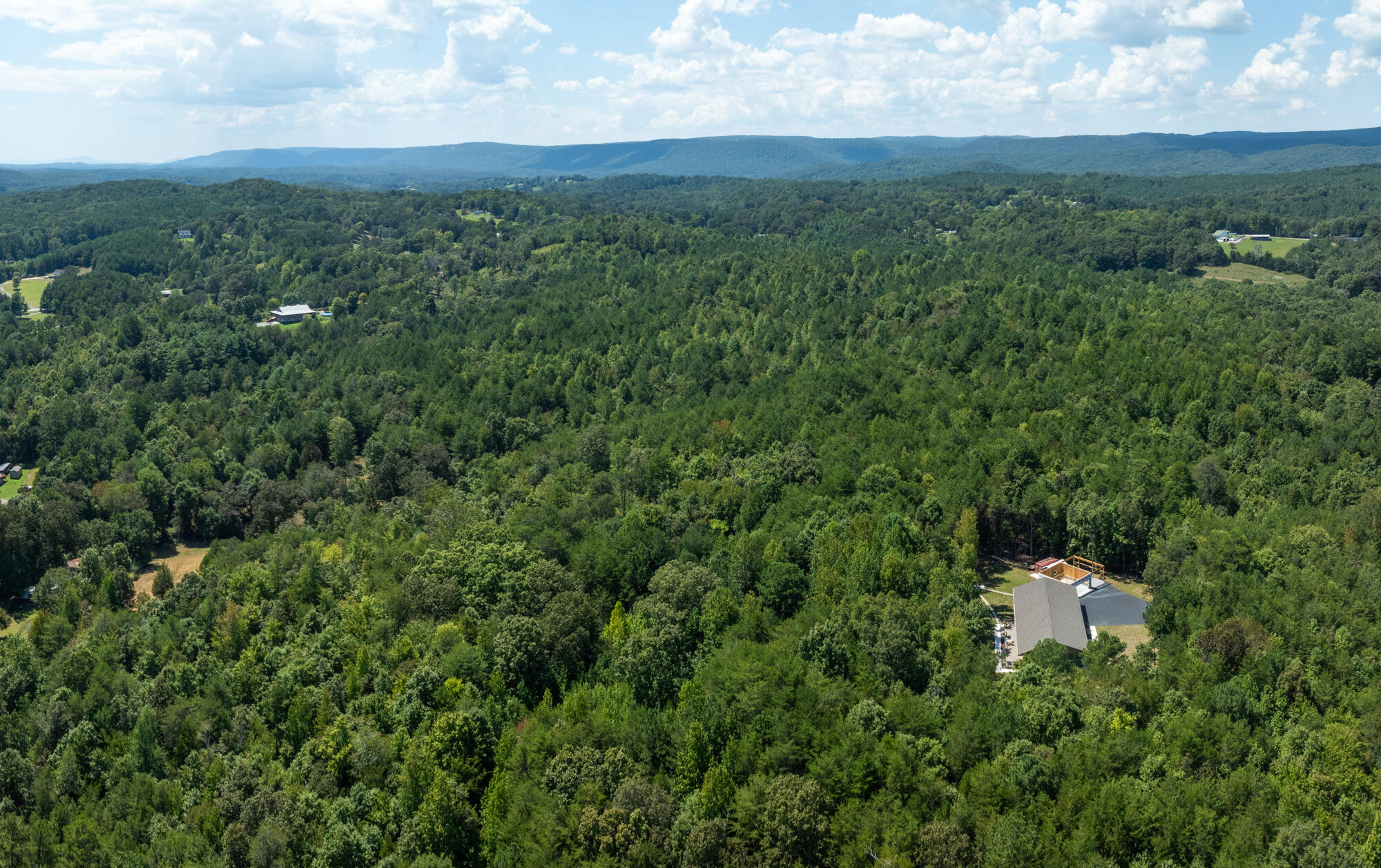 1310 Mayflower Road Sale Creek, TN 37373 - Photo 8 of 10 1310-Mayflower-Rd-Land-High-Res-Photos-8