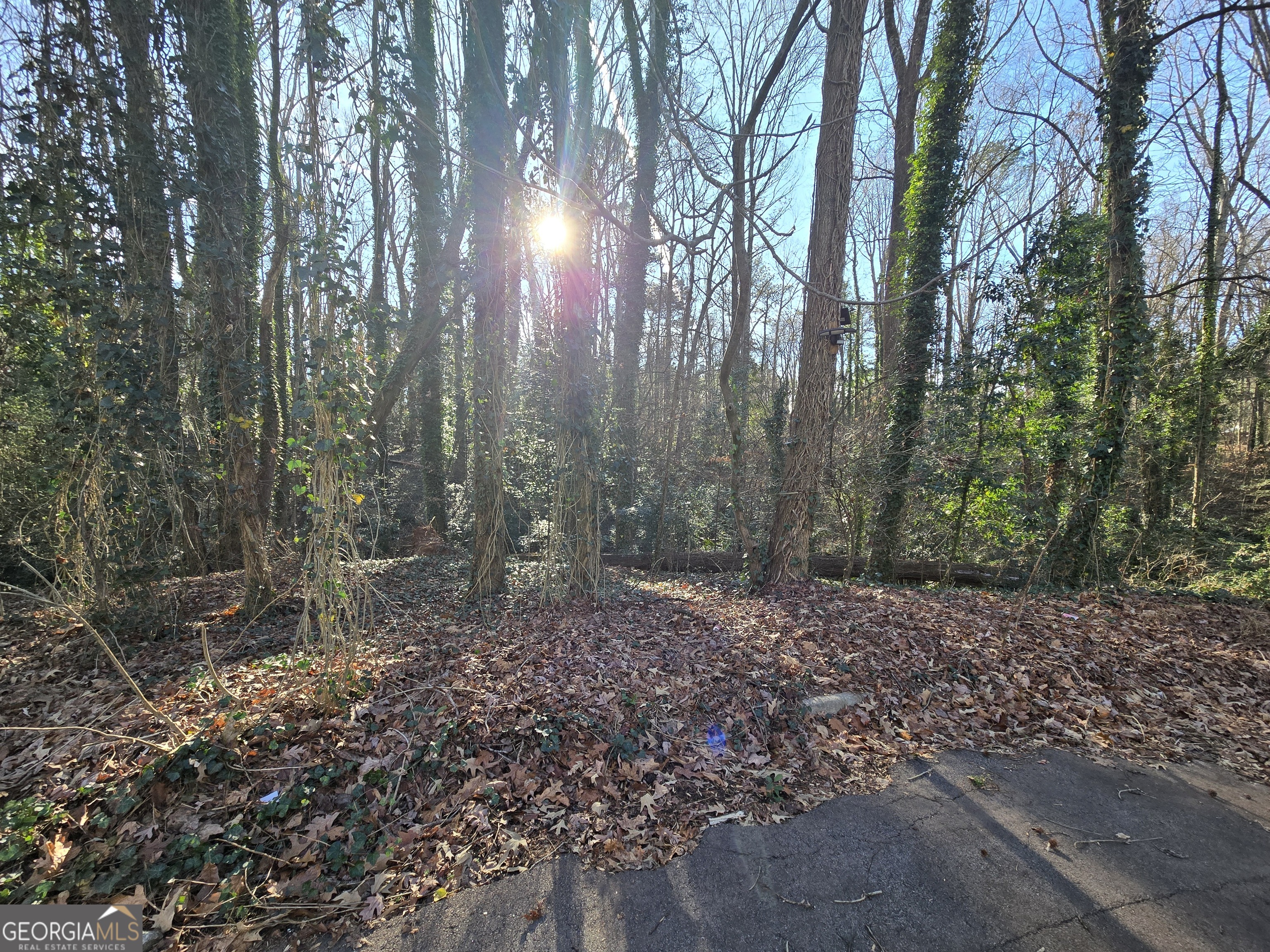 3240-3246 Baxberry Court Decatur, GA 30034 - Photo 2 of 10 a view of a forest that has large trees