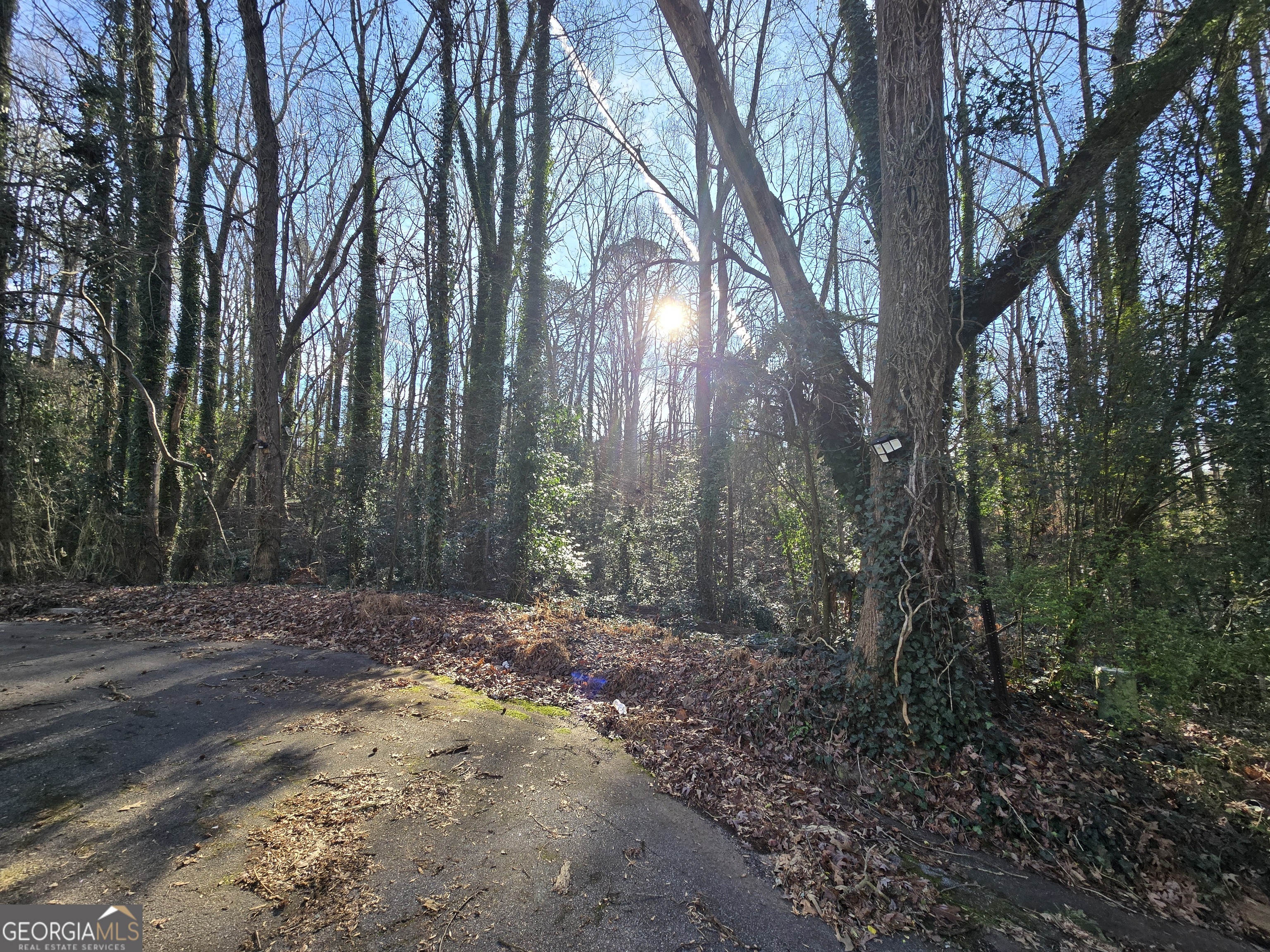 3240-3246 Baxberry Court Decatur, GA 30034 - Photo 3 of 10 a view of a forest with trees