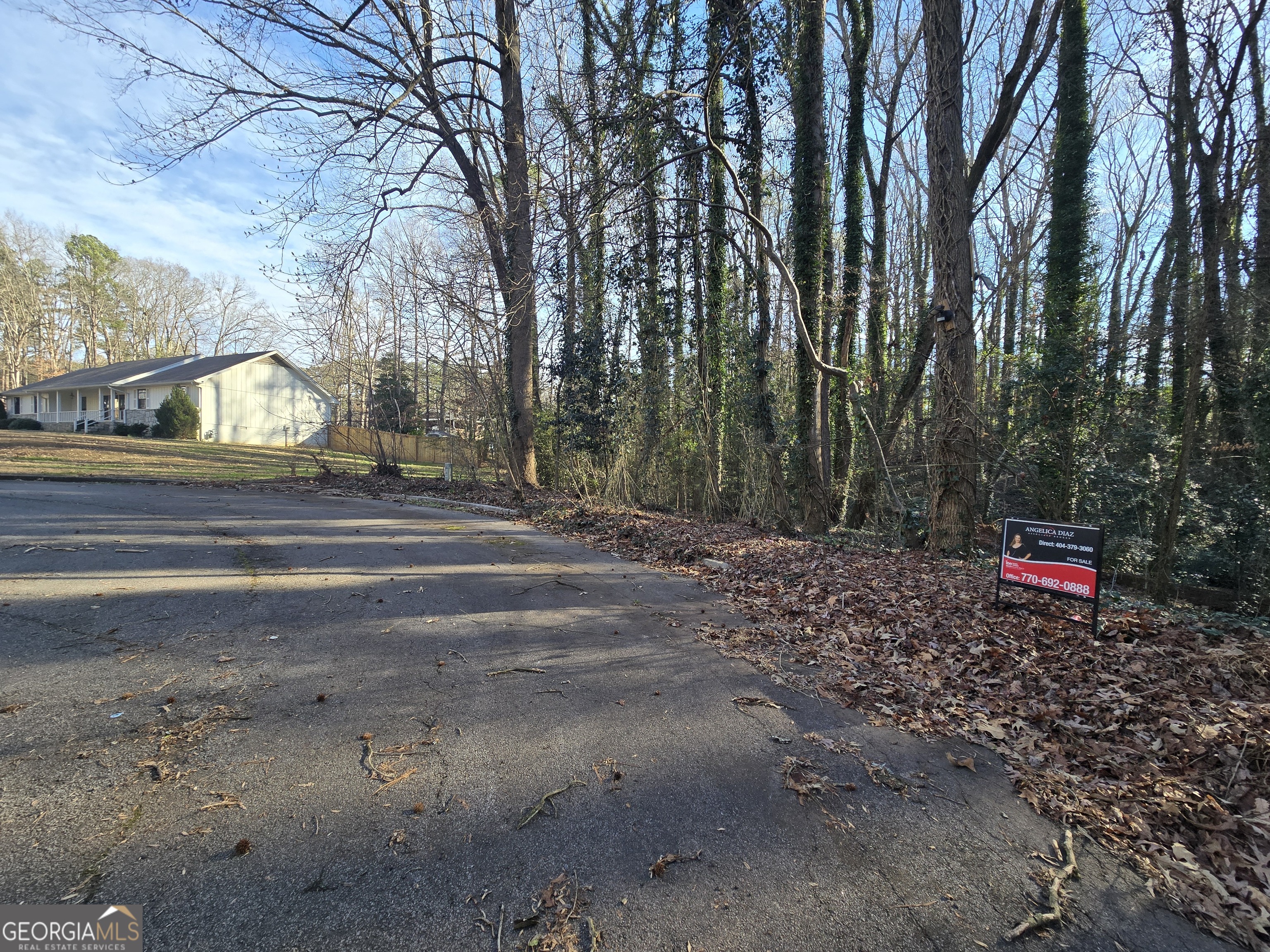 3240-3246 Baxberry Court Decatur, GA 30034 - Photo 6 of 10 a view of a road with tree s