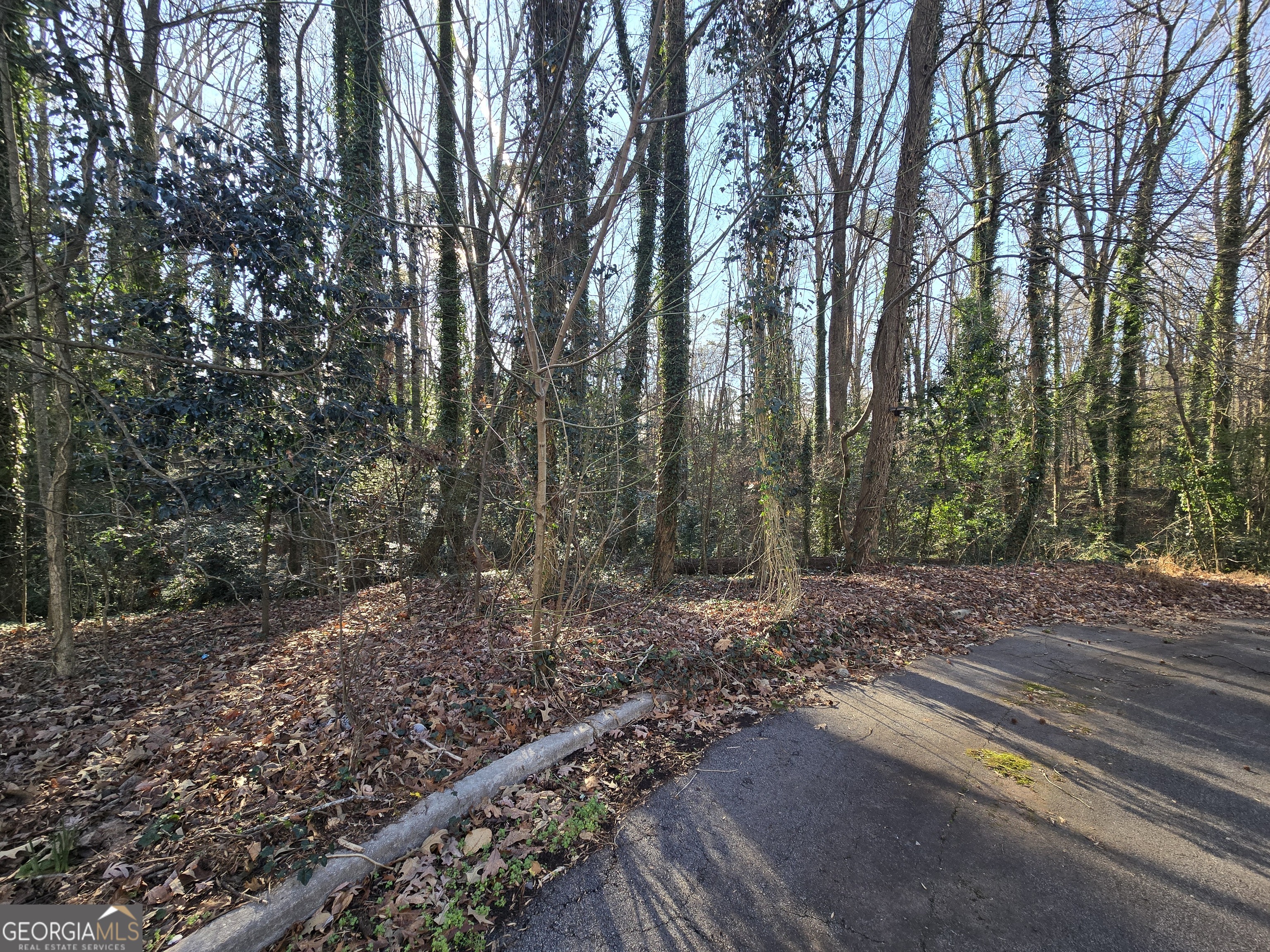 3240-3246 Baxberry Court Decatur, GA 30034 - Photo 8 of 10 a view of a yard with plants and trees