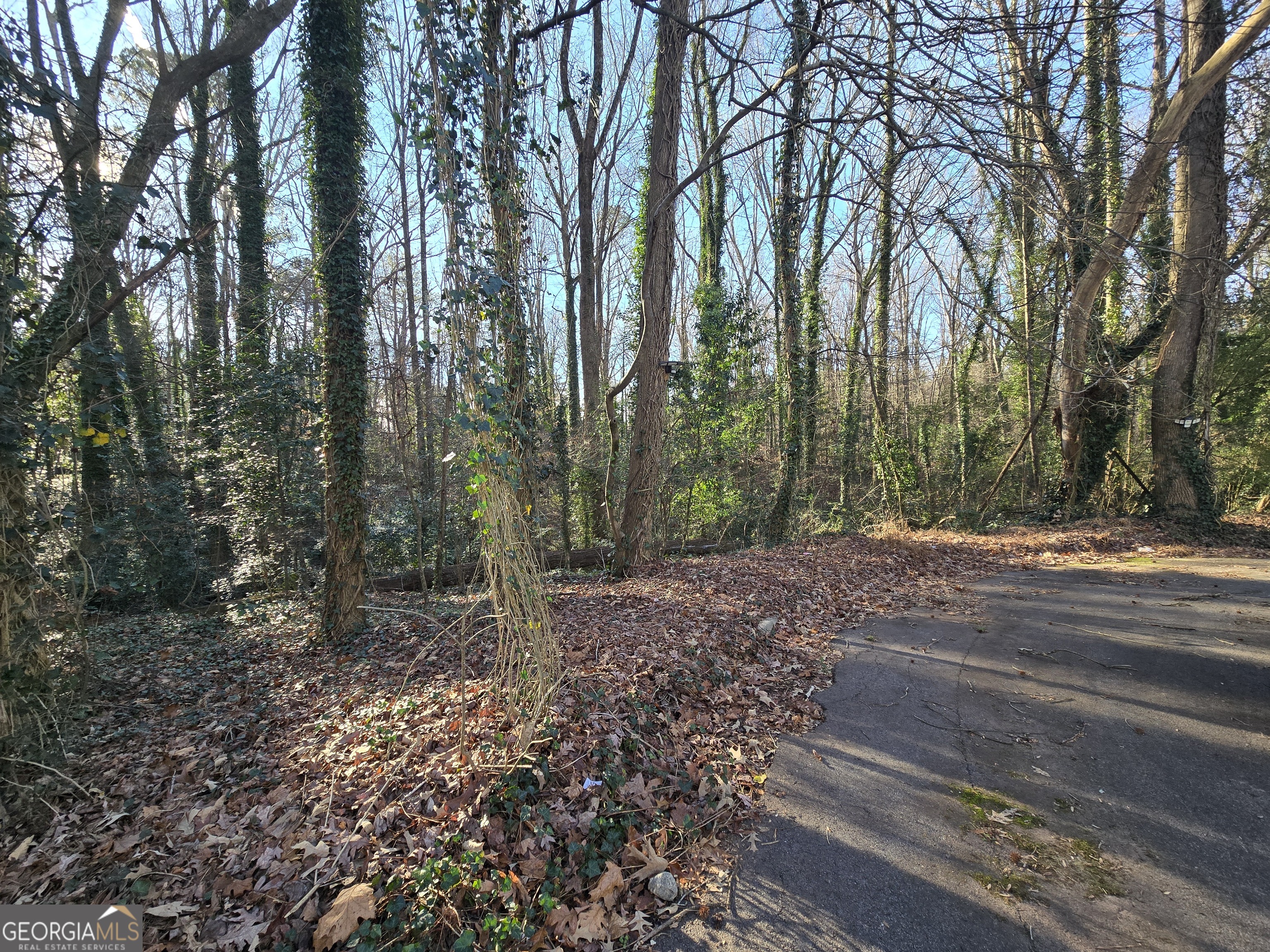 3240-3246 Baxberry Court Decatur, GA 30034 - Photo 10 of 10 a view of a yard with tree s