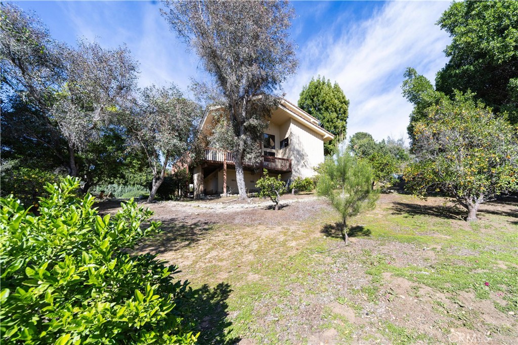 2248 Mil Sorpresas Drive Fallbrook, CA 92028 - Photo 35 of 74 a view of a yard with plants and trees