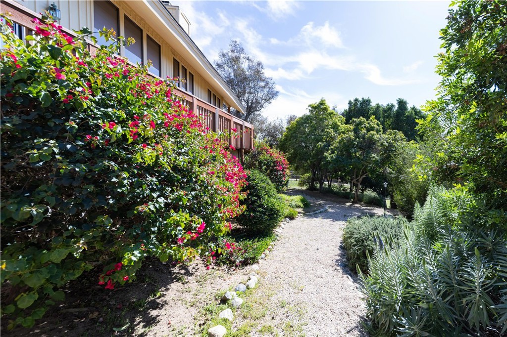 2248 Mil Sorpresas Drive Fallbrook, CA 92028 - Photo 37 of 74 a backyard of a house with a lot of flower plants